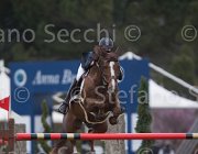Clayton Mr Darcy TosTour 2013- S5 7259 : Arezzo Equestrian Centre, Clayton Joseph, Mr Darcy, Toscana Tour 2013, foto di Stefano Secchi ©